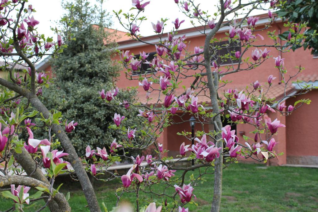 Il Sottosopra Bed and Breakfast Labico Exteriör bild